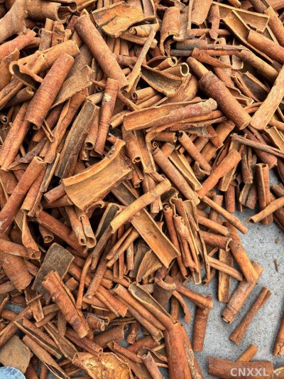 spice_6786566_39ab5d06_3.jpg