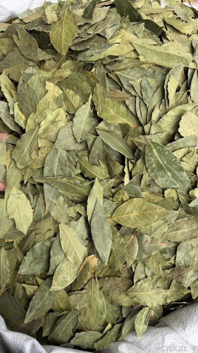 spice_6854180_09ea4171_2.jpg
