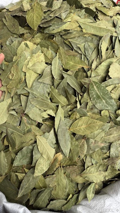 spice_6854180_6e4477e9_3.jpg