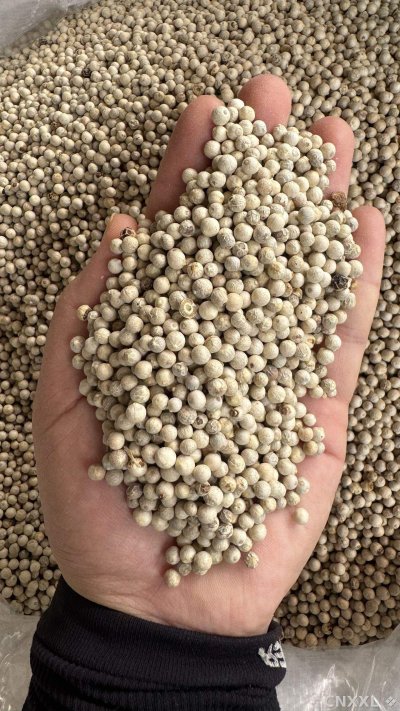 spice_6859385_98e7f22f_2.jpg