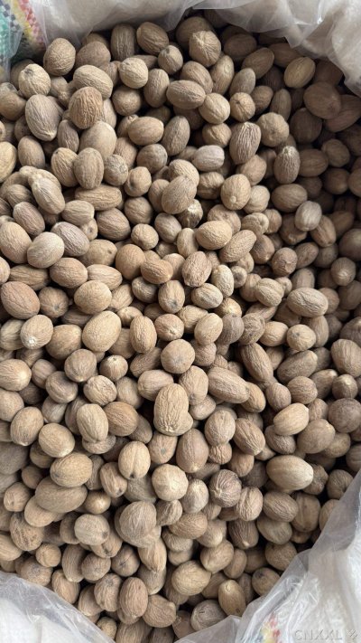 spice_6859396_1b34e146_3.jpg