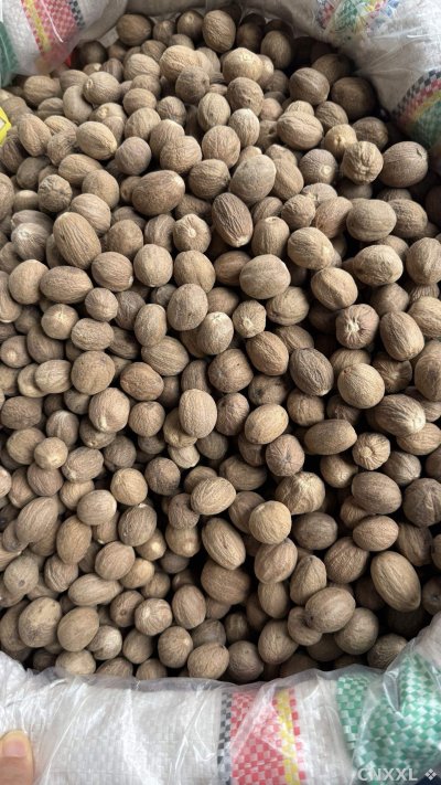 spice_6859396_94db0ba3_3.jpg