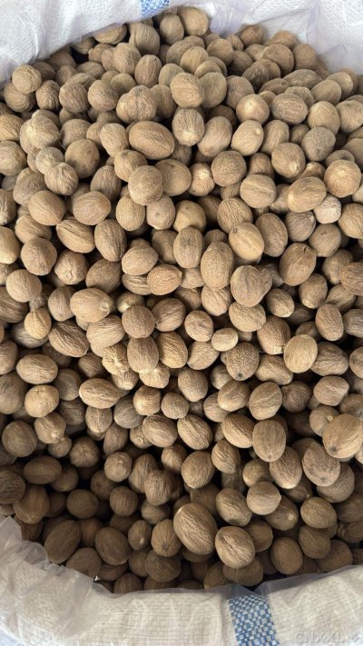 spice_6859405_f803396c_3.jpg