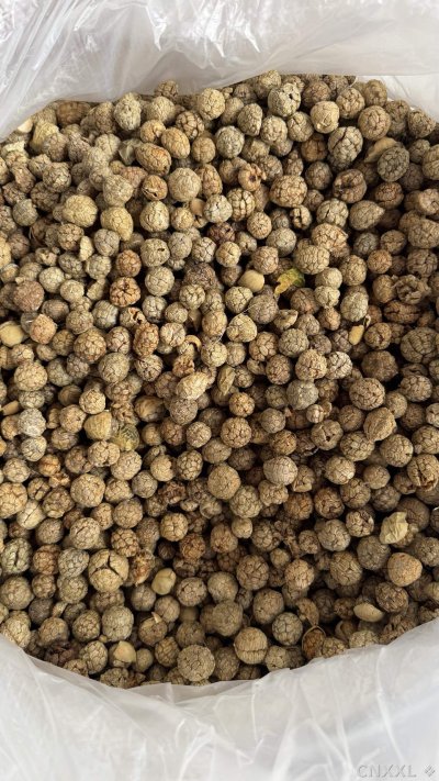 spice_6859413_fad301cb_3.jpg