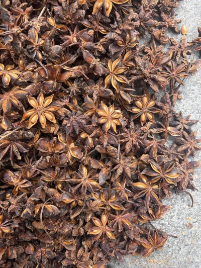 spice_6947942_66955e26_3.jpg