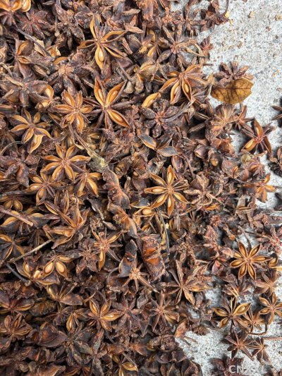 spice_6953152_3e8868e1_3.jpg