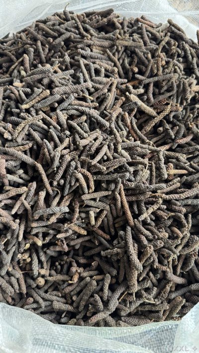 spice_6963574_7fd2f803_3.jpg