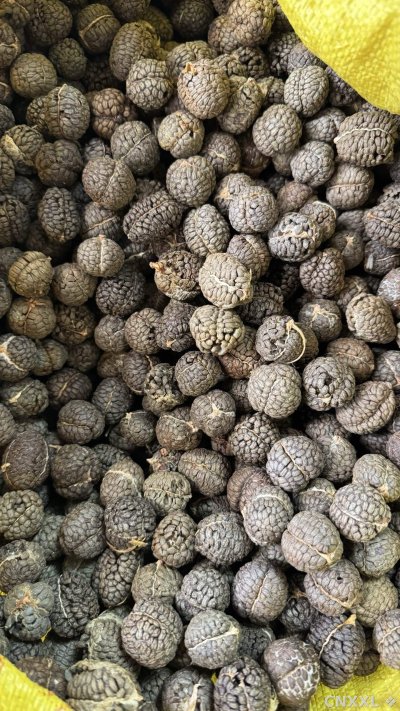 spice_6963579_d53c9e0c_3.jpg