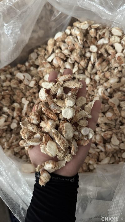 spice_6963582_0349bb48_1.jpg