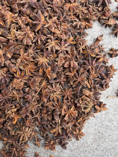 spice_7052163_8b9d3dac_3.jpg