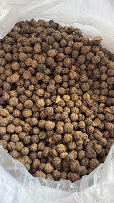 spice_7062589_c22c8f05_2.jpg
