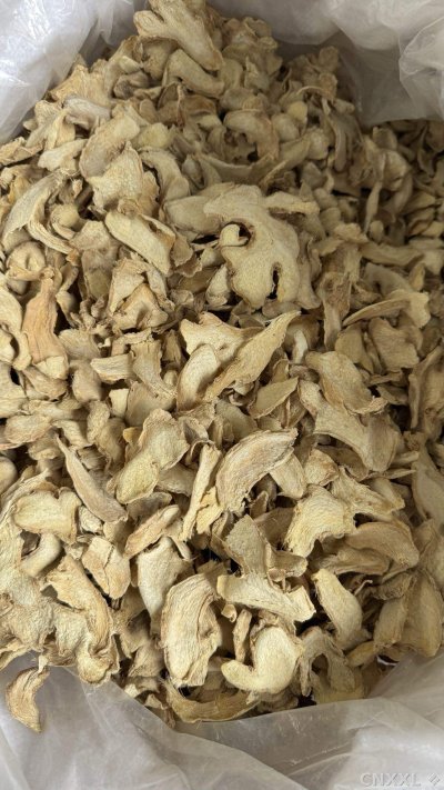 spice_7067812_feef294c_2.jpg