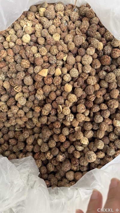 spice_7271180_95de6b00_3.jpg