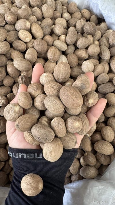 spice_7271200_1d0360e0_1.jpg