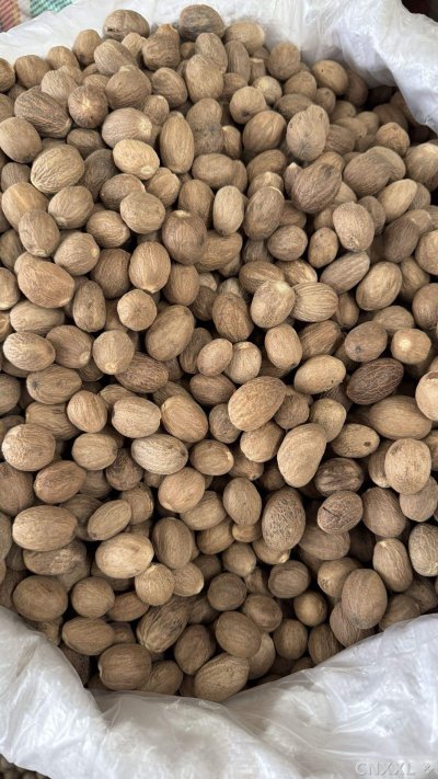 spice_7271200_62390153_3.jpg