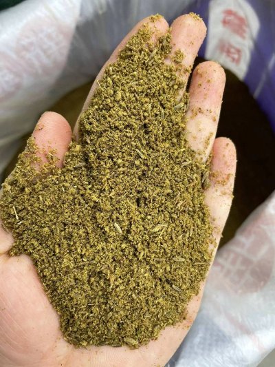cargo_20260630_cd1e8764.jpg
